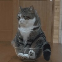张琇楠