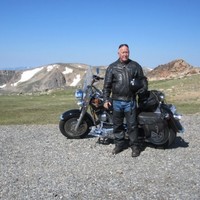 Wayne Evans