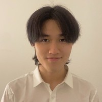 Vu Long Dang