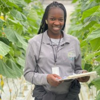 Aminata KEBE