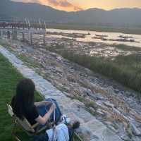 lily Huang