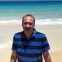 tarek wally