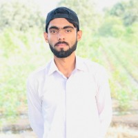 Mian Ammar