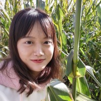 Yulan Zhou