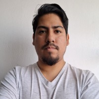 Alfredo Boris Palacios Vergara