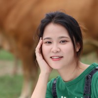 Ava Tan
