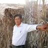 Krishna Thapa