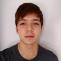 Fábio Fusimoto Pires