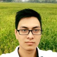 Hoang T.