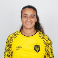 Amit Netanel
