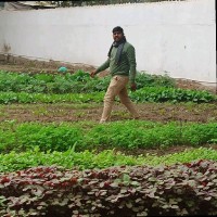 Amit Kumar Soni
