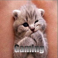 Kitty Gaming