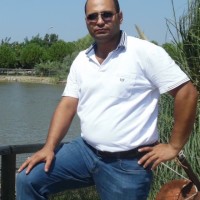 Ali Davüt