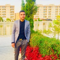 Mohammadreza Mohammadzaei