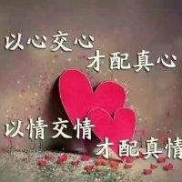 宋武龙