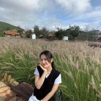 Trinh Ha