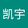 戴凯宇