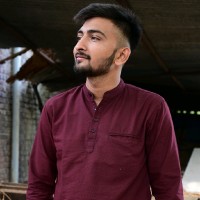 Ansh Chaudhary