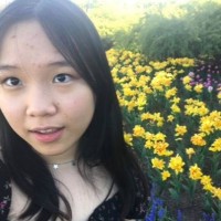 Minh Tu Ly