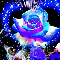 jose miguel ortega Reyes