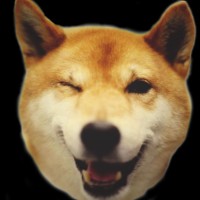 Doge Memer