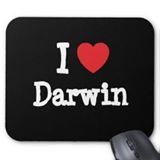 Darwin Rodriguez