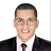Mena Mokhles