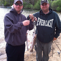 Steve Arnold Pmp