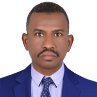 Mohamed Osman Shams Eldin Ibrahim Saror