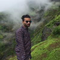 Wasim Ansari