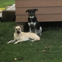 Brenda Brosseau