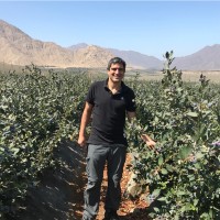 Roberto Vargas Rotondo