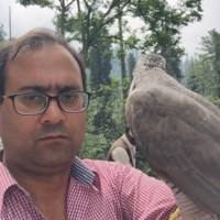 Irfan Rasheed