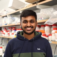 Shri Venkatesh Subramani