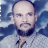 Diaa Eldin