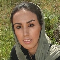 mina arsanjani