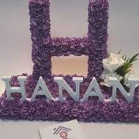 Dr. Hanan Ahmed