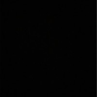 عفاف الفيفي