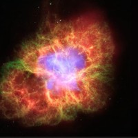 MARIBEL ORTEGA LEONARDO