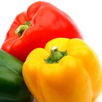 European Group for Development