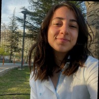 Ayşem Aleyna Ustaoğlu