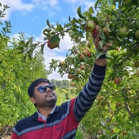 Sathish Kumar R