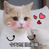 刘孝雨