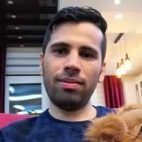 Mahdi S. Mousavi