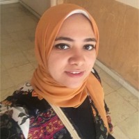 Alaa Gomaa