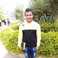 محمد ابو الليل