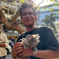 Nimish Narasimha