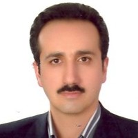 Majid Valizadeh