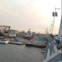 杨全刚