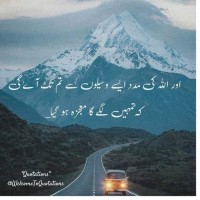 Ali Haider